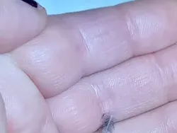 Deretan Foto yang Jarang Dilihat Tapi Bikin Tercengang