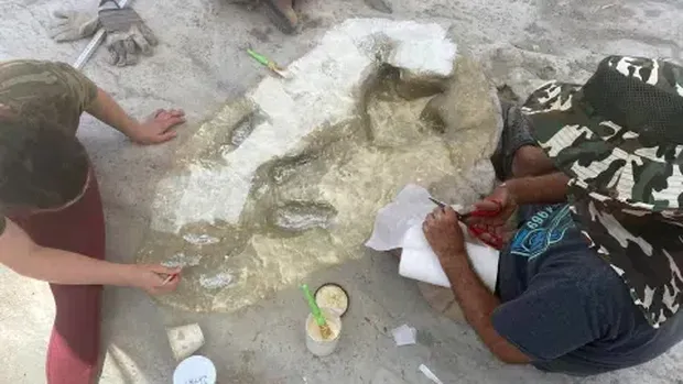Jejak dinosaurus di Amerika Serikat
