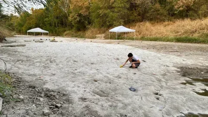 Jejak dinosaurus di Amerika Serikat