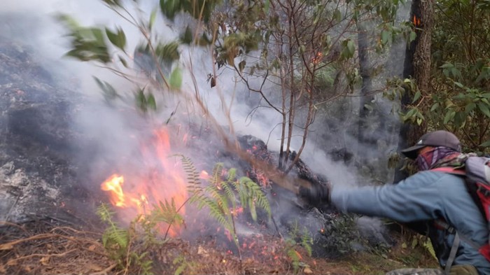 kebakaran hutan di Gunung Welirang