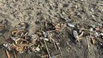 Sedih, Pantai Padang Galak Tak Lagi Nyaman gegara Banyak Sampah