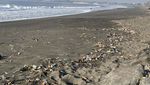 Sedih, Pantai Padang Galak Tak Lagi Nyaman gegara Banyak Sampah