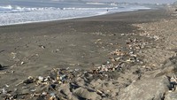 Melihat kondisi sampah di Pantai Padang Galak, munculah beberapa kelompok relawan yang selalu memperhatikan kebersihan pantai ini. Pecinta Mandi Pantai (PMP), salah satu kelompok yang kerap melakukan kerja bakti membersihkan sampah di Pantai Padang Galak.  