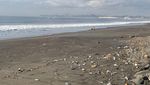 Sedih, Pantai Padang Galak Tak Lagi Nyaman gegara Banyak Sampah