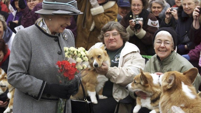 Parade Anjing Corgi Kenang Satu Tahun Kepergian Ratu Elizabeth II FILE - Queen Elizabeth II speaks with members of the Manitoba Corgi Association, during a visit to Winnipeg, Tuesday, Oct. 8, 2002. Royal fans and their pet corgis have gathered outside Buckingham Palace to remember Queen Elizabeth II a year on since the late monarch's death. Around 20 corgi enthusiasts dressed up their pets in crowns, tiaras and royal outfits and paraded them outside the palace in central London Sunday, Sept. 3, 2023 to pay tribute to Elizabeth, a well-known lover of the dog breed. (Adrian Wyld/The Canadian Press via AP, File)