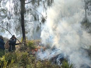 Sisa Bara Api Kembali Membakar Gunung Arjuno di Pasuruan