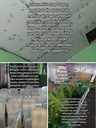 Acara pernikahan penuh dengan ribuan lalat, bikin pengantin dan keluarga sedih viral di media sosial.