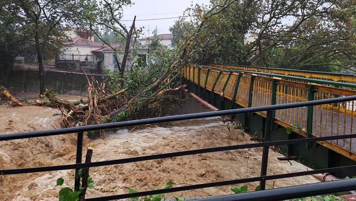 A fallen tree is seen in a flooded river during a storm in the city of Volos, Greece, September 5, 2023. Sevina Dariotou/Eurokinissi via REUTERS ATTENTION EDITORS - THIS PICTURE WAS PROVIDED BY A THIRD PARTY. NO RESALES. NO ARCHIVES. NO EDITORIAL SALES IN GREECE. GREECE OUT.