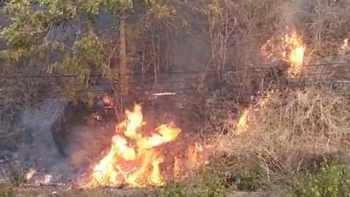 Bukit di Desa Sekotong Barat, Lombok Barat, NTB, terbakar pada Selasa (5/9/2023). Luas lahan yang terbakar diperkirakan mencapai 1 kilometer persegi.