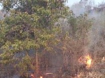 Bukit di Lombok Barat Terbakar Seluas 1 Kilometer Persegi