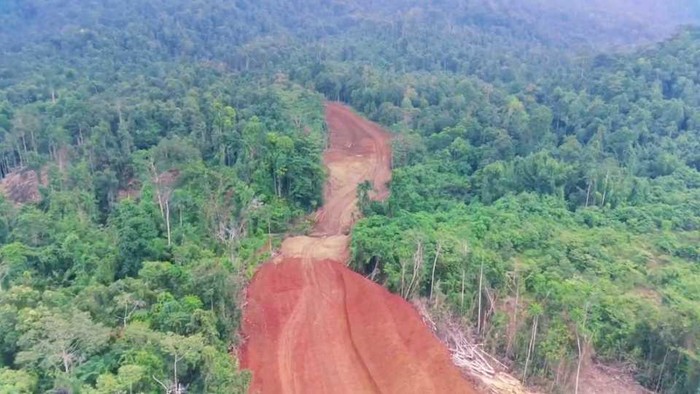 Pembukaan hutan untuk akses jalan perusahaan pertambangan di kawasan gunung Wato-wato di Kabupaten Halmahera Timur.