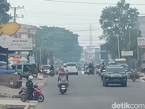5 Hal Diketahui soal Kabut Asap Jambi 2023