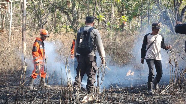 kebakaran hutan bukit klotok kediri