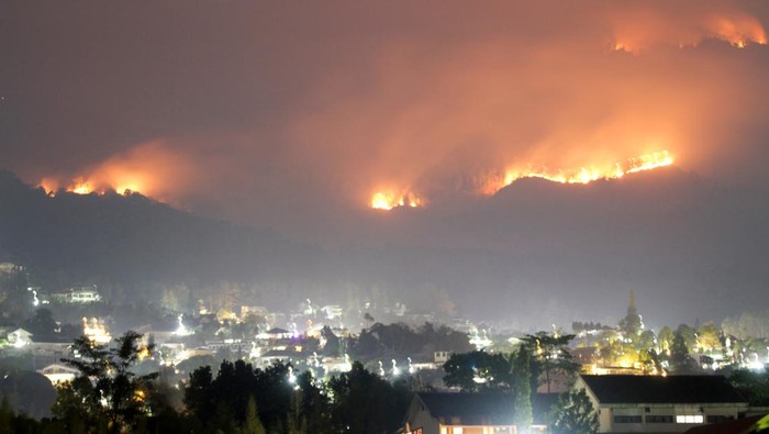 Kebakaran hutan dan lahan di Gunung Arjuno Api membakar hutan dan lahan (karhutla) kawasan Gunung Arjuno terlihat di Prigen, Pasuruan, Jawa Timur, Selasa (5/9/2023). Menurut data Badan Penanggulangan Bencana Daerah (BPBD) Jawa Timur kebakaran hutan dan lahan di kawasan Gunung Arjuno meluas di 156 titik dengan luas lahan yang terbakar sekitar 3.910 hektare. ANTARA FOTO/Umarul Faruq/tom.