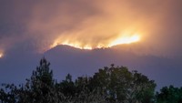 Menurut data Badan Penanggulangan Bencana Daerah (BPBD) Jawa Timur kebakaran hutan dan lahan di kawasan Gunung Arjuno meluas di 156 titik dengan luas lahan yang terbakar sekitar 3.910 hektare.  