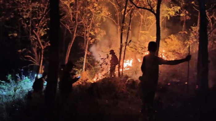 Kebakaran hutan terjadi di Kabupaten Soppeng, Sulawesi Selatan (Sulsel).