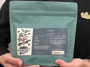 Loa, Varietas Kopi Unik dari Bandung dengan Rasa Krim Keju