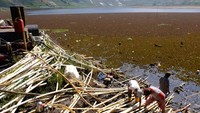 Pada musim kemarau warga setempat memanfaatkan pompa guna mendapatkan air telaga untuk menyiram tanaman sayuran serta untuk kebutuhan sehari-hari termasuk air minum.