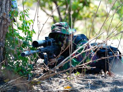 Menengok Latihan Perang Prajurit TNI-Australia di Baluran Situbondo