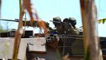 Menengok Latihan Perang Prajurit TNI-Australia di Baluran Situbondo