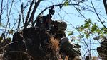 Menengok Latihan Perang Prajurit TNI-Australia di Baluran Situbondo