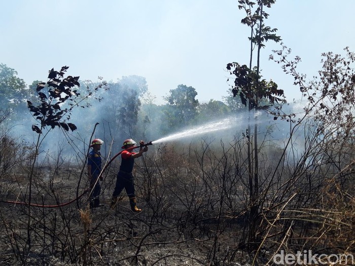 Petugas Damkar memadamkan api yang membakar lahan kosong di Surowedanan, Pulisen, Kecamatan Boyolali Kota, Kabupaten Boyolali, Rabu (6/9/2023) siang.