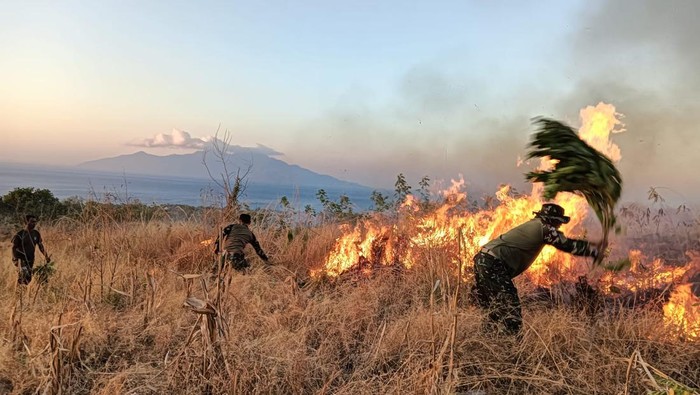 Prajurit TNI memadamkan api dengan daun di lahan kering yang terbakar di Desa Hoder, Kecamatan Waigete, Kabupaten Sikka, NTT, Rabu (6/9/2023). (Foto: istimewa)