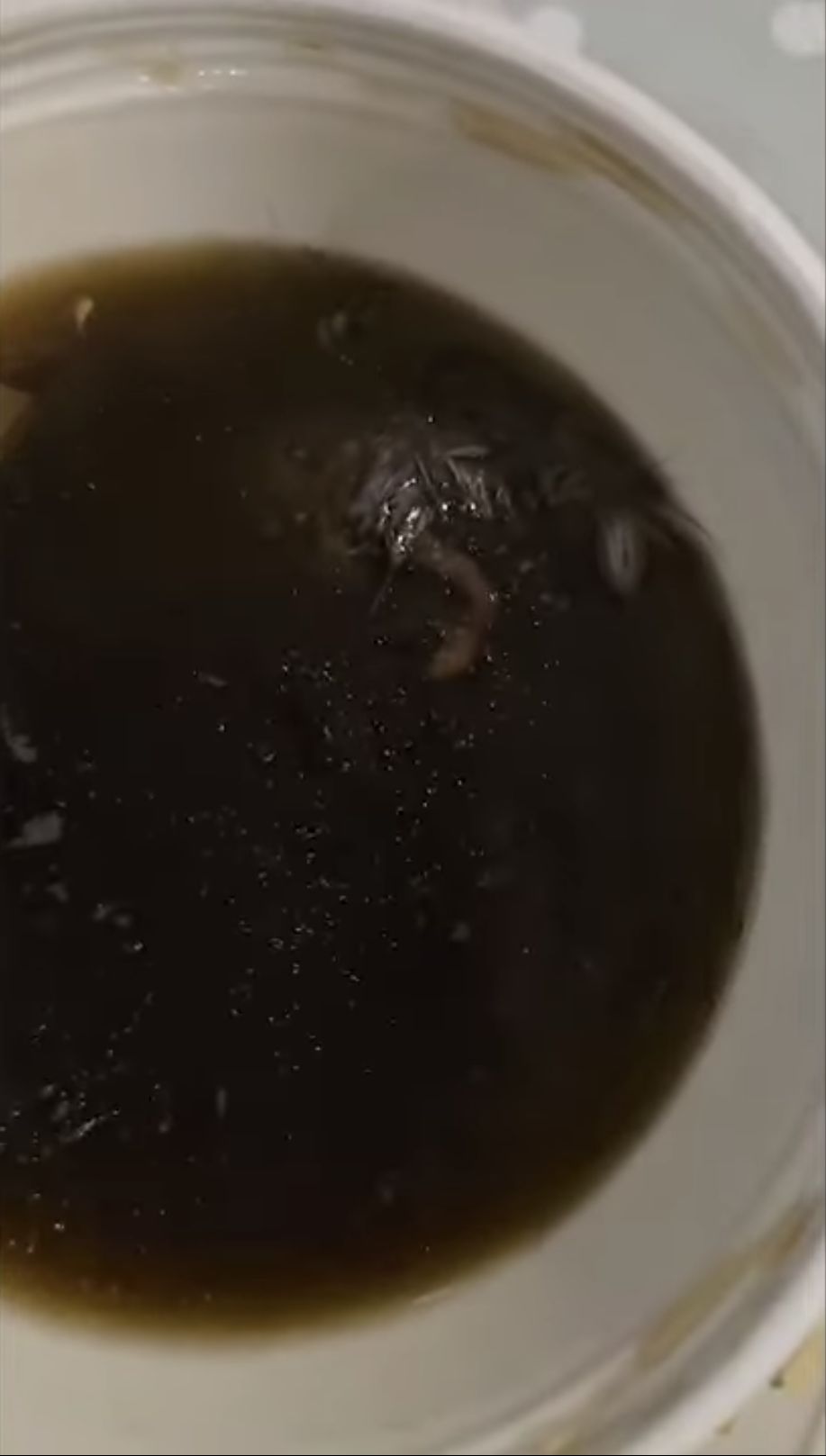 Pria Ini Kaget Ada Tikus di Sup, Restoran Malah Bersikap Begini