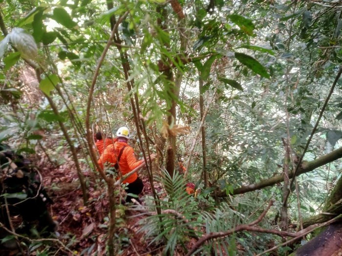 Proses pencarian 2 pria yang hilang di hutan masgo