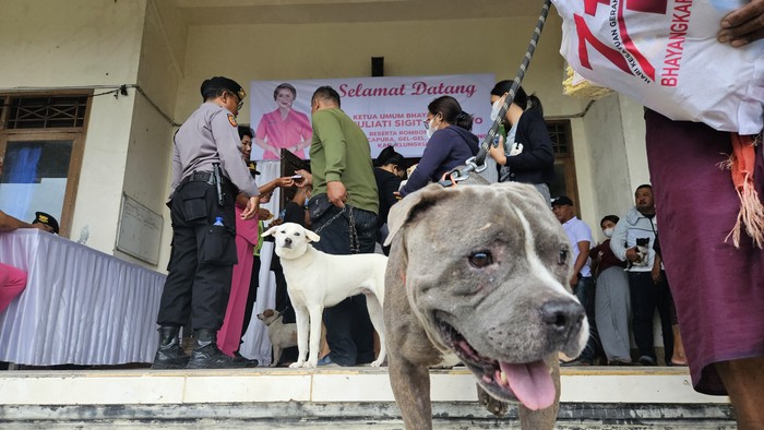 Warga antusias membawa anjing peliharaannya untuk mendapatkan vaksin antirabies ke GOR Swecapura, Klungkung, Bali Rabu siang (6/9/2023).