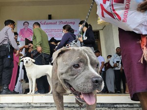 Vaksinasi Anjing Berhadiah Sembako, Warga Klungkung Antusias
