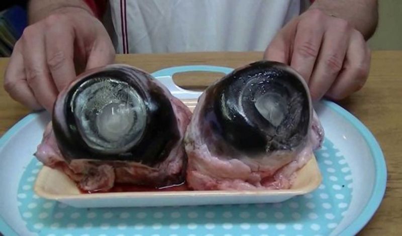 7 Makanan Ekstrem yang Ada di China, Berani Coba?