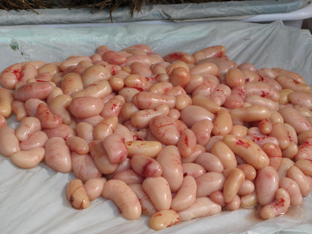 7 Makanan Ekstrem yang Ada di China, Berani Coba?