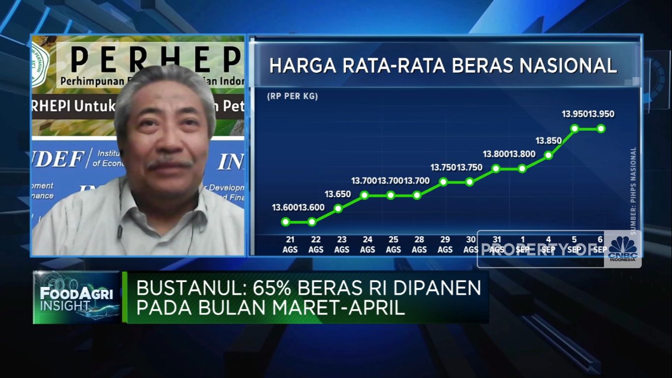 Harga Beras Naik & Bisa Capai Rp 1 Juta/Karung, Salah Siapa?(CNBC Indonesia TV)