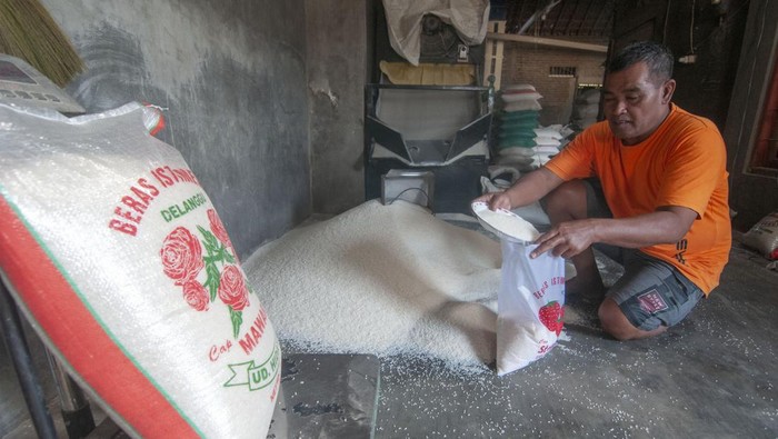 Pelaku usaha penggilingan padi mengemas beras yang telah jadi di Desa Kopen, Teras, Boyolali, Kamis (7/9/2023). Pelaku usaha penggilingan padi mengungkapkan untuk produksi beras saat ini mengalami penurunan yang biasanya mengolah 7 ton gabah per hari menjadi 3 ton gabah per hari karena hasil panen padi turun saat musim kemarau, sedangkan harga jual beras mengalami kenaikan dari Rp10.000 per kilogram menjadi Rp12.500 per kilogram beras C4, Rp11.000 per kilogram menjadi Rp13.000 per kilogram beras membramo, dan Rp12.000 per kilogram menjadi Rp14.000 per kilogram beras mentik wangi. ANTARA FOTO/Aloysius Jarot Nugroho/tom.