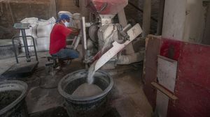 Produksi Anjlok, Harga Beras Mulai Naik!