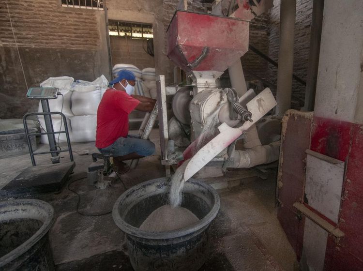 Produksi Anjlok, Harga Beras Mulai Naik!