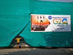 Jelang KTT G20, India Tangkap Ratusan Anjing Liar