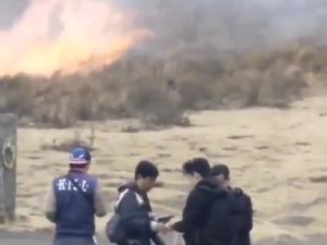 5 Hal Diketahui soal Kebakaran Bukit Teletubbies Gunung Bromo