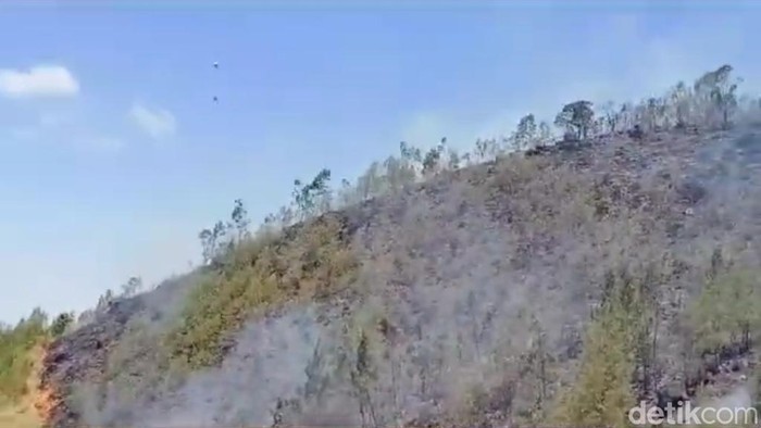 Kebakaran hutan dan lahan Gunung Arjuno belum padam