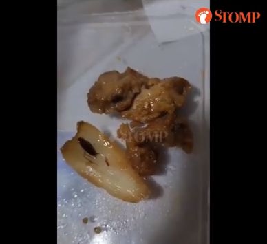 Jijik! Pelanggan Temukan 4 Ekor Kecoak Dalam Nasi Pesanannya