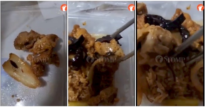 Jijik! Pelanggan Temukan 4 Ekor Kecoak Dalam Nasi Pesanannya