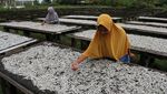 Produksi Ikan Kering di Padang Merosot Imbas Kenaikan Harga Garam
