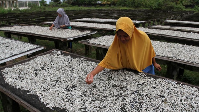 Kenaikan harga garam berdampak pada produksi ikan kering Sejumlah pekerja menyortir ikan teri kering yang dijemur di Sentra Pengolahan Perikanan Dinas Perikanan dan Pangan Kota Padang, Sumatera Barat, Kamis (7/9/2023). Produksi olahan ikan kering di daerah tersebut mengalami penurunan hingga 50 persen akibat naiknya harga garam dari Rp100 ribu per 50 kilogram naik menjadi Rp200 ribu hingga Rp250 ribu per 50 kilogram. ANTARA FOTO/Muhammad Arif Pribadi/rwa.