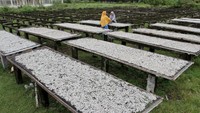 Produksi olahan ikan kering di daerah tersebut mengalami penurunan hingga 50 persen akibat naiknya harga garam dari Rp100 ribu per 50 kilogram naik menjadi Rp200 ribu hingga Rp250 ribu per 50 kilogram.