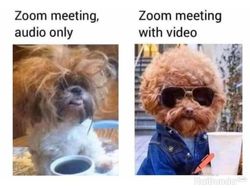 Meme Kocak Gambarkan Kondisi saat WFH, Awas Ketiduran