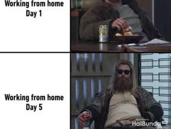 Meme Kocak Gambarkan Kondisi saat WFH, Awas Ketiduran