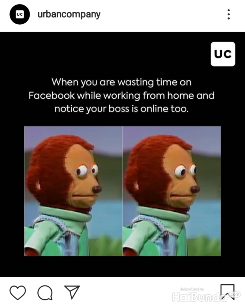 Meme kocak work from home (WFH) berikut ini kemungkinan besar bikin kamu ngangguk-ngangguk setuju. Kamu tim WFH atau WFO nih, detikers?