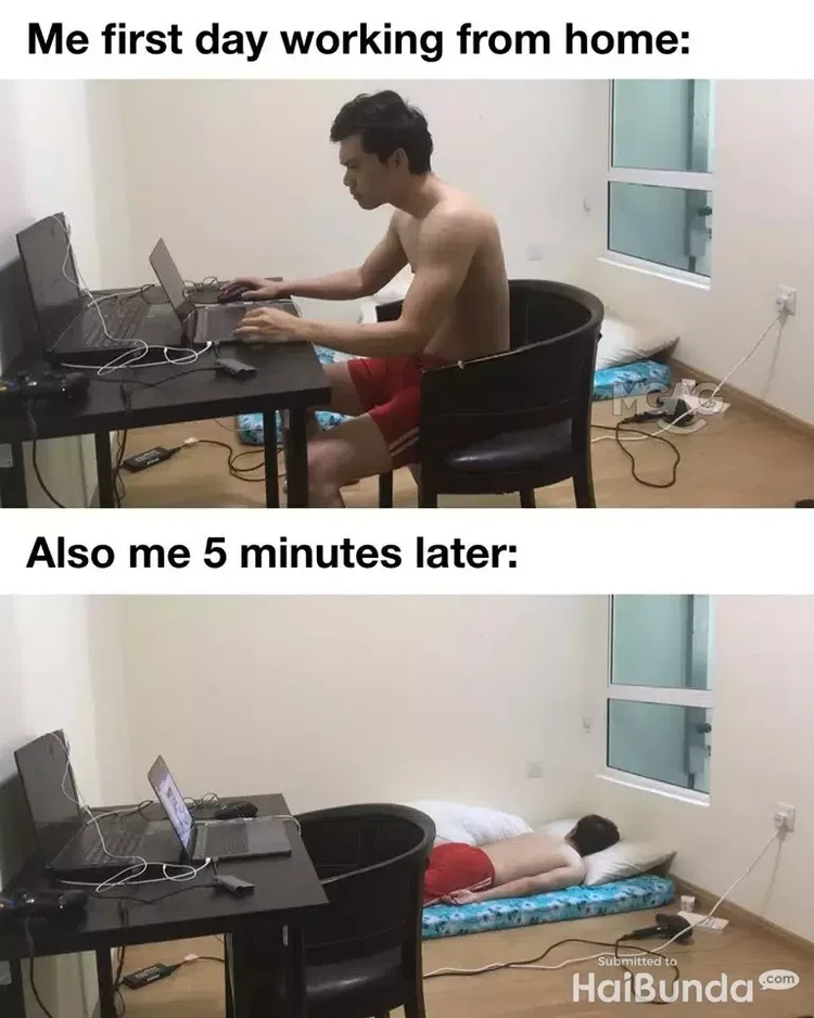 Meme kocak work from home (WFH) berikut ini kemungkinan besar bikin kamu ngangguk-ngangguk setuju. Kamu tim WFH atau WFO nih, detikers?