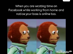 Meme Kocak Gambarkan Kondisi saat WFH, Awas Ketiduran